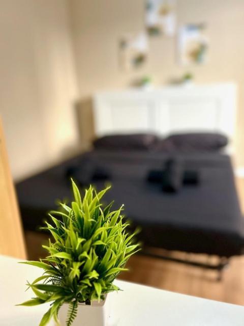Residence Zar 8 Триест Екстериор снимка