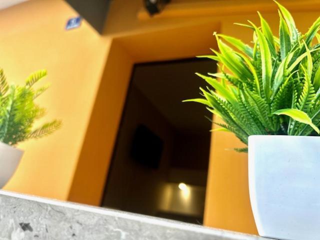 Residence Zar 8 Триест Екстериор снимка