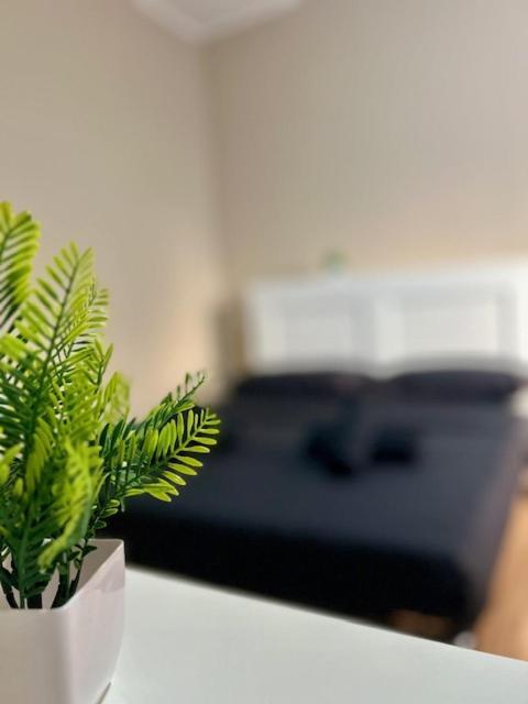 Residence Zar 8 Триест Екстериор снимка