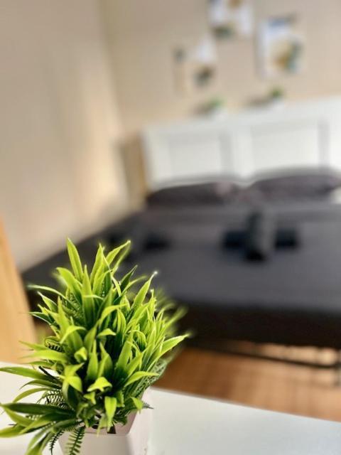 Residence Zar 8 Триест Екстериор снимка